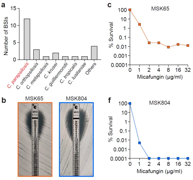 beat365在线体育app