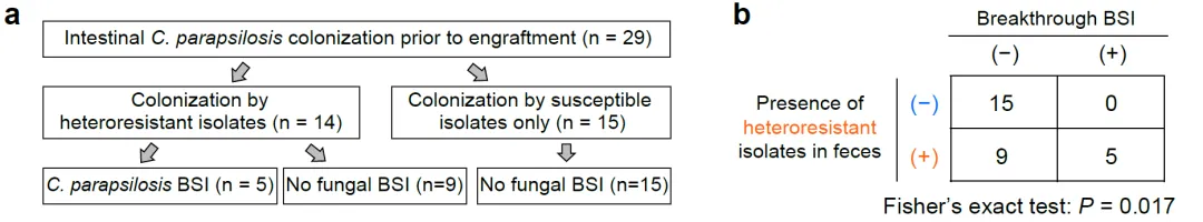 beat365在线体育app