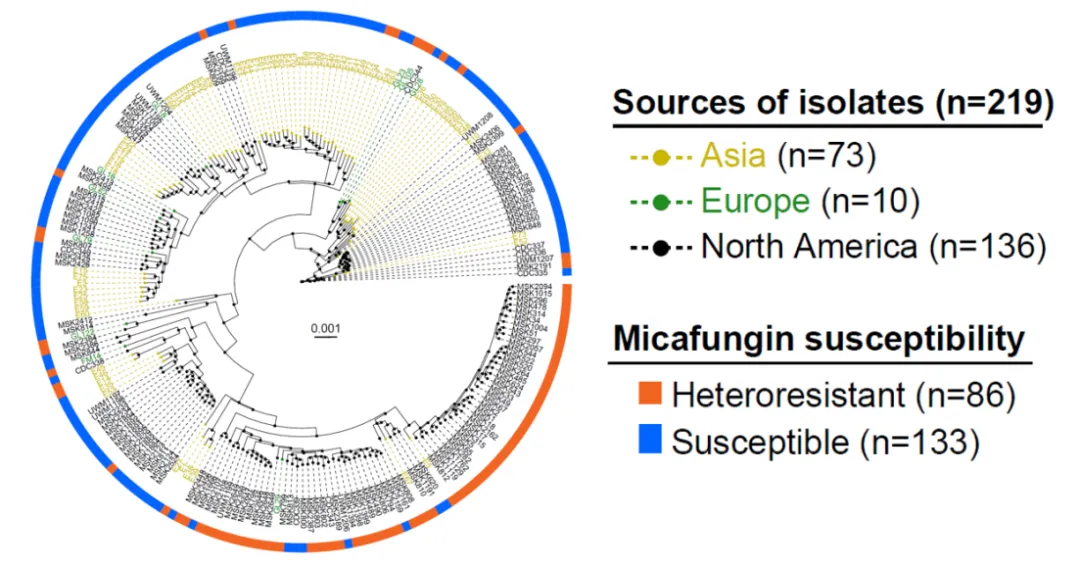 beat365在线体育app
