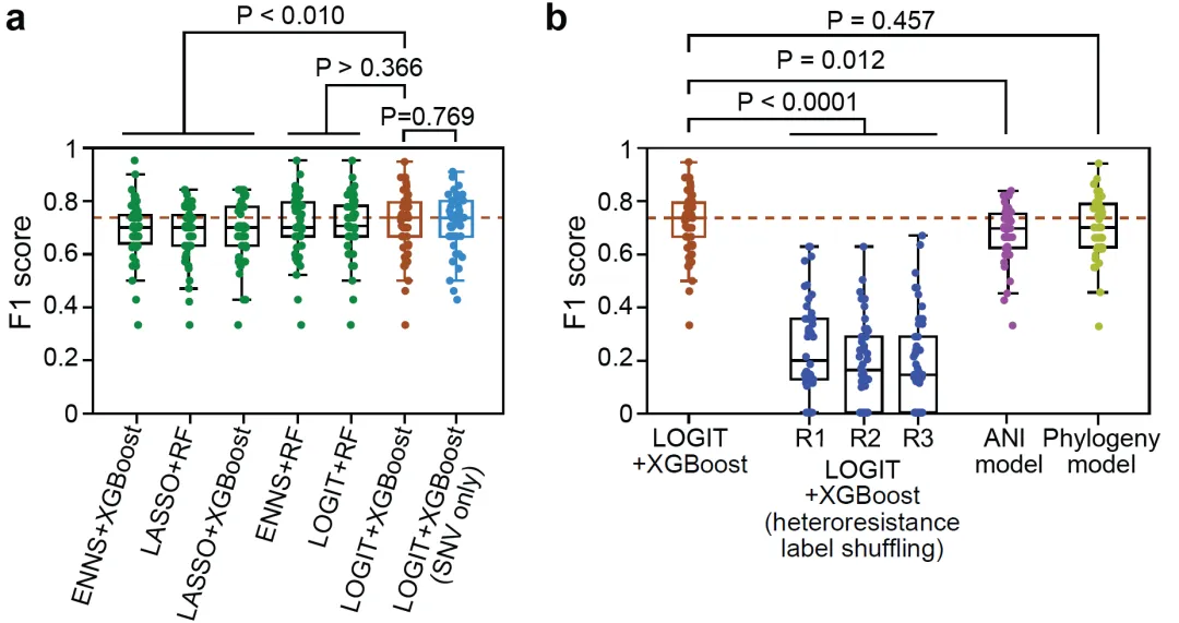 beat365在线体育app