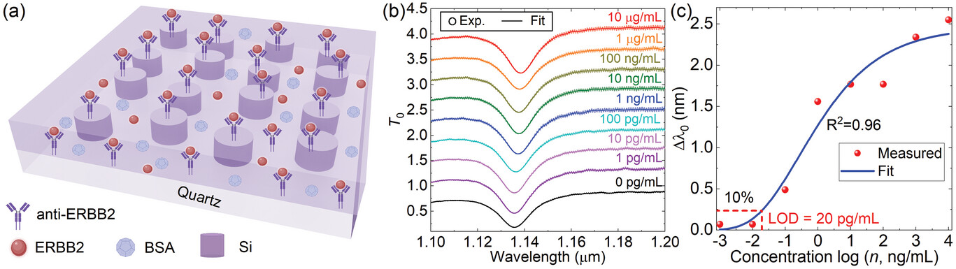 beat365在线体育app