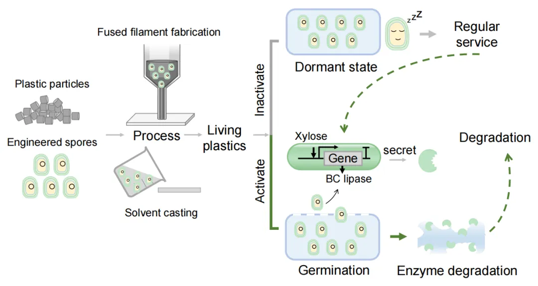 beat365在线体育app
