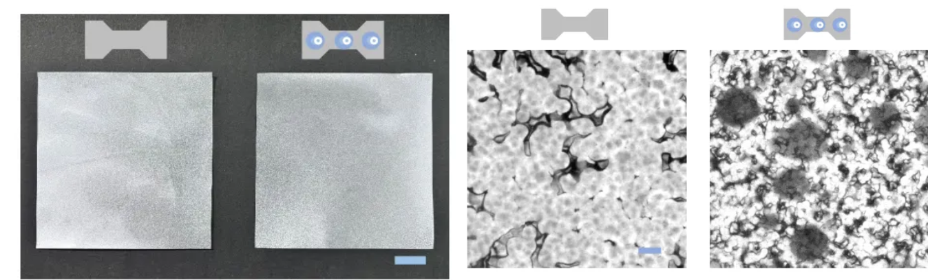 beat365在线体育app