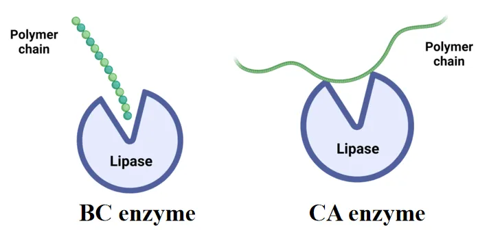 beat365在线体育app