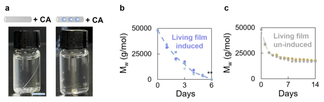 beat365在线体育app