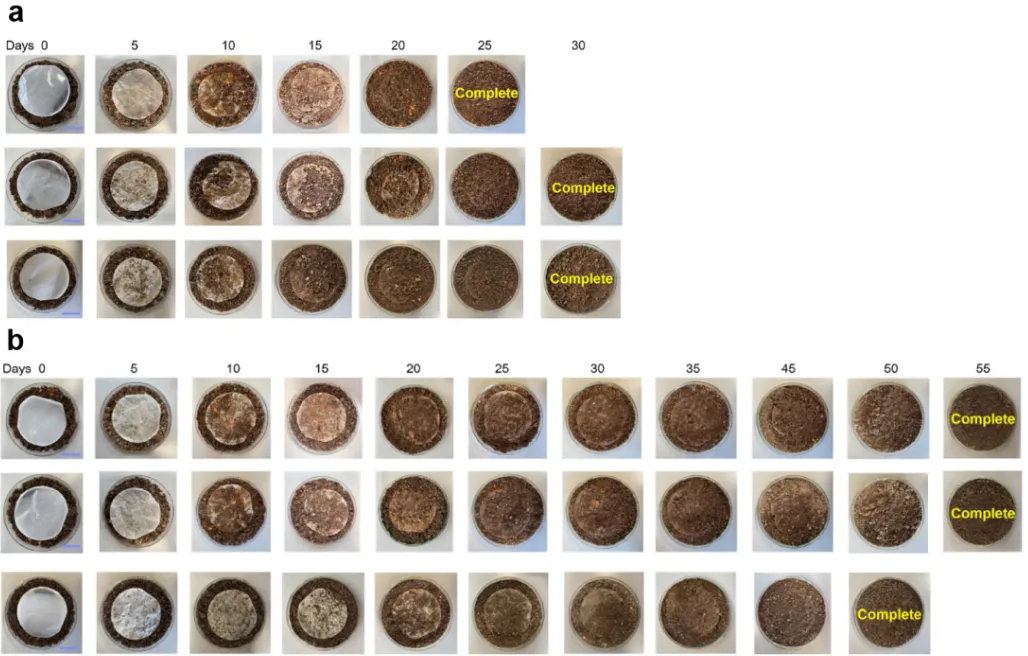 beat365在线体育app