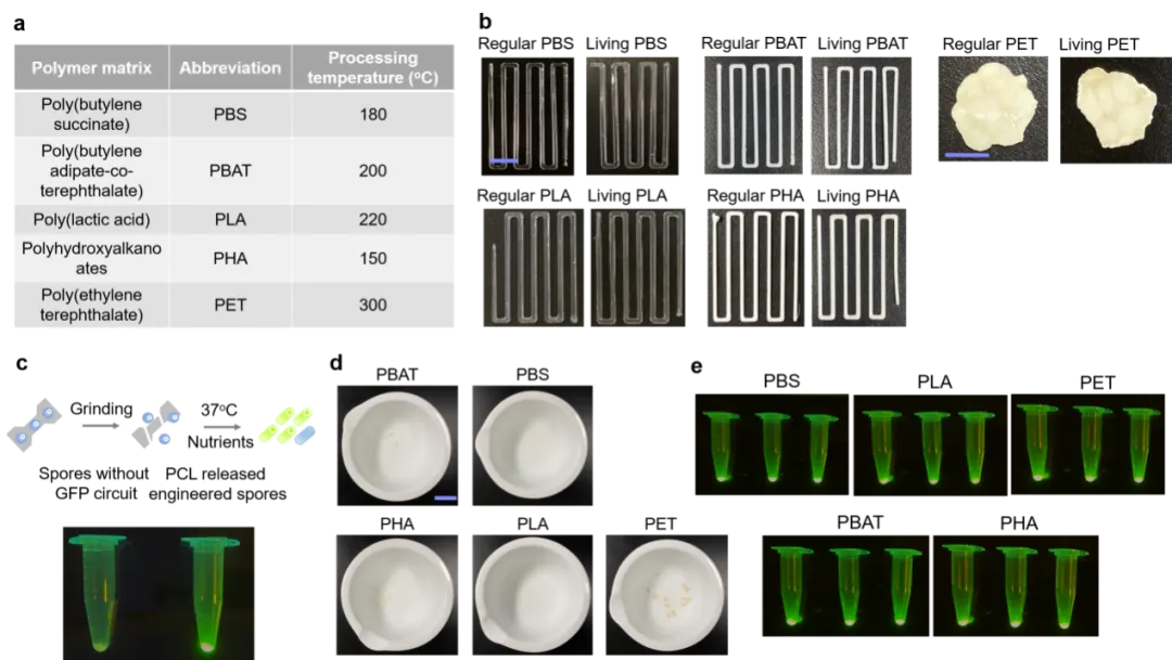 beat365在线体育app