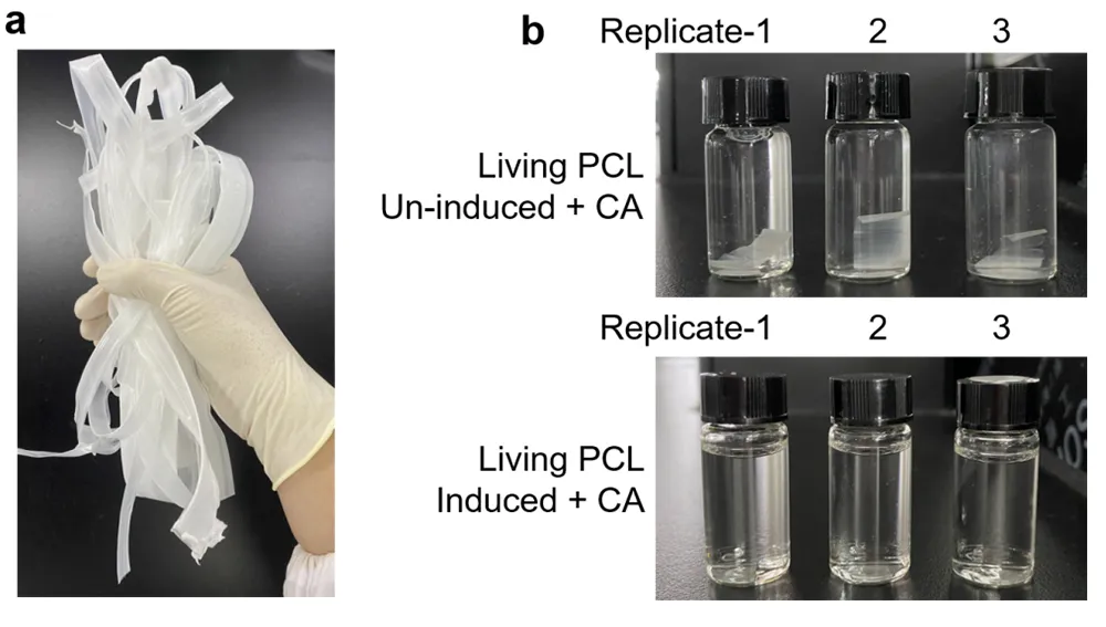 beat365在线体育app