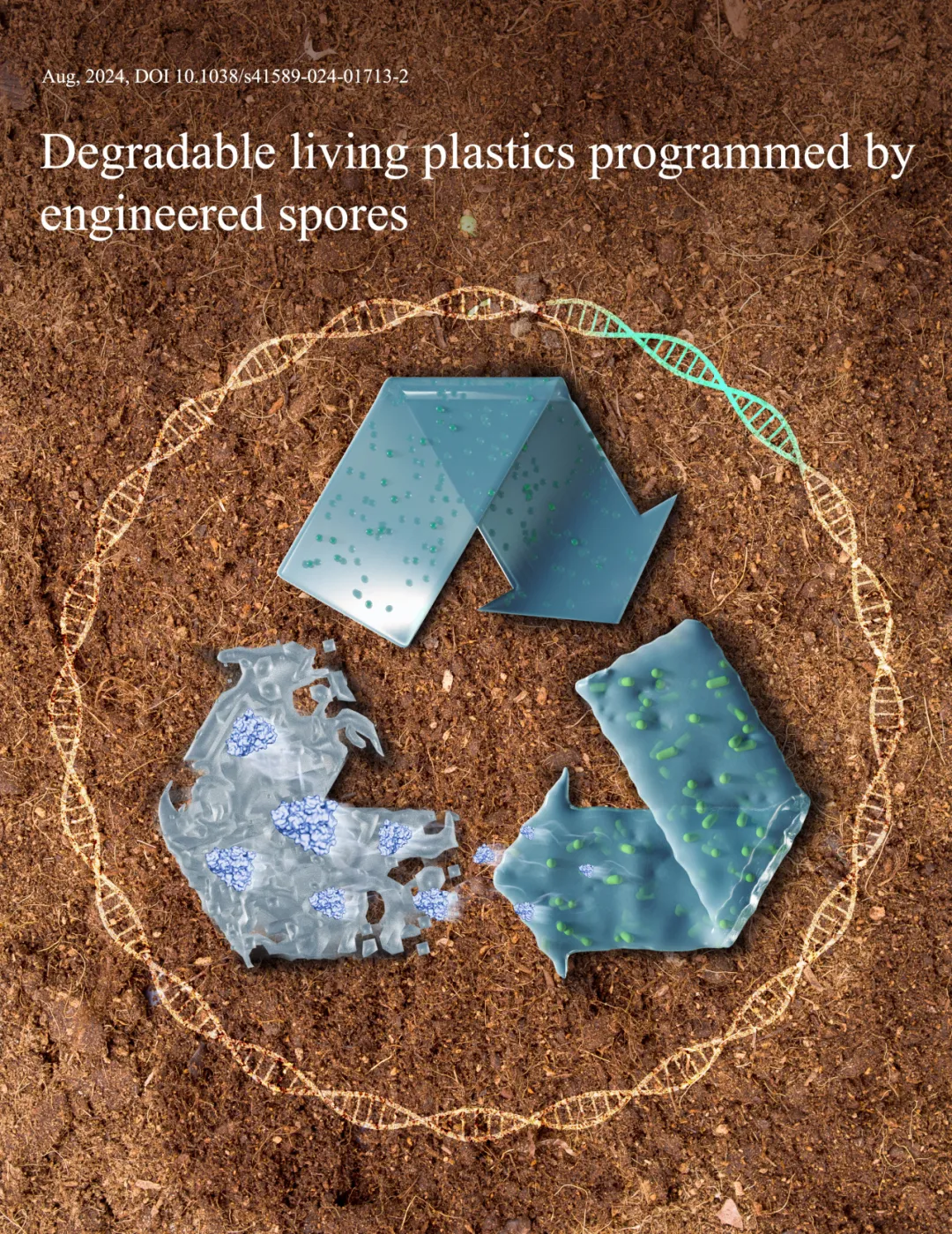 beat365在线体育app