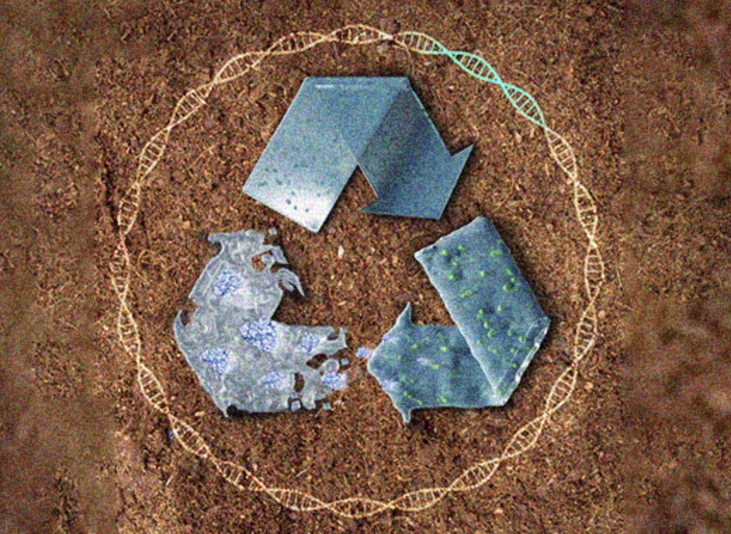 beat365在线体育app