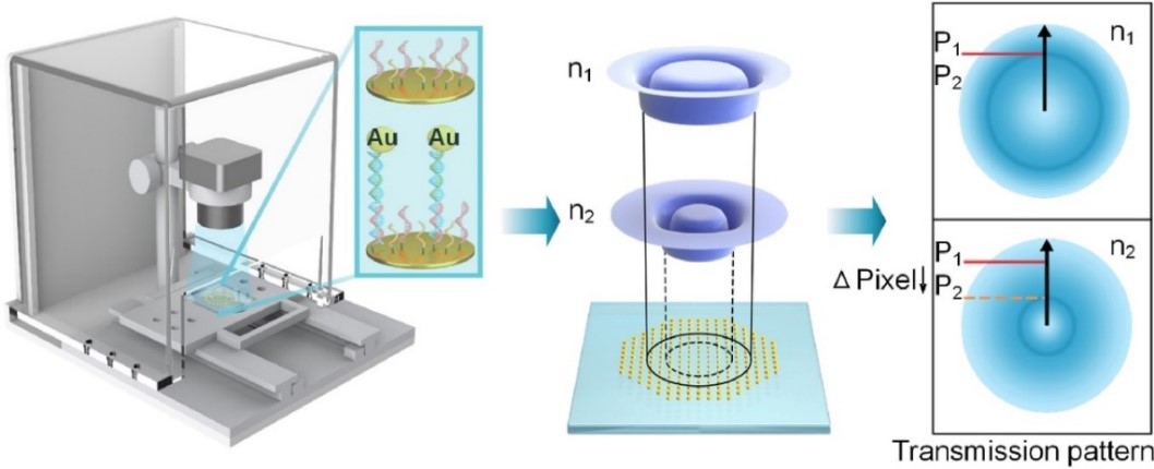 beat365在线体育app