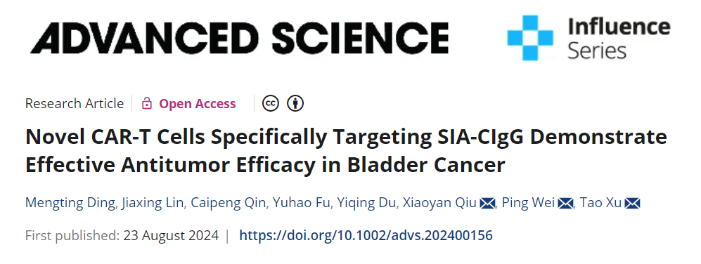 beat365在线体育app