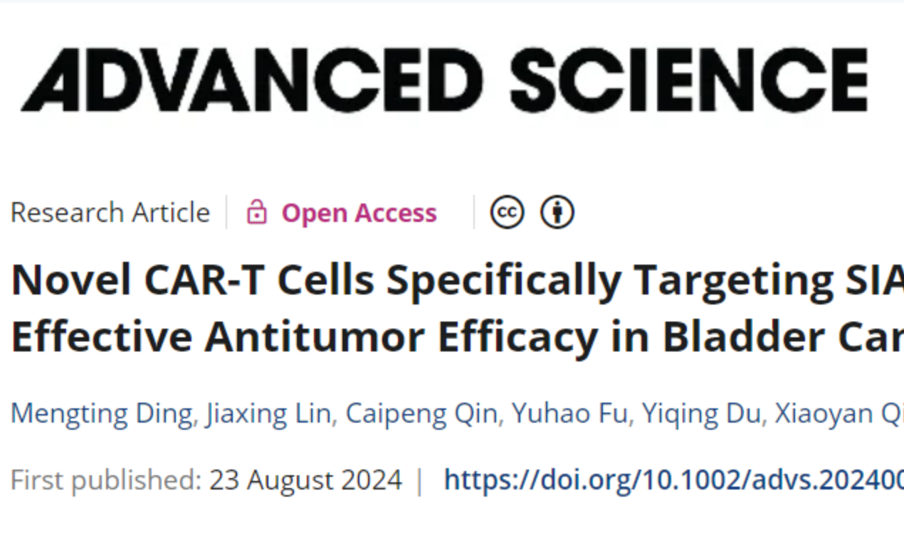 beat365在线体育app