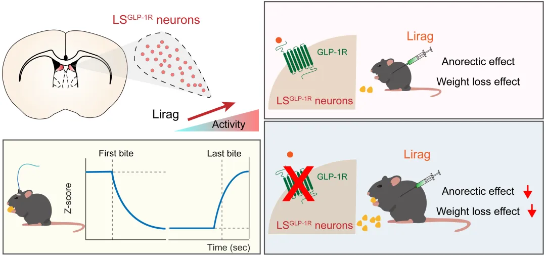 beat365在线体育app