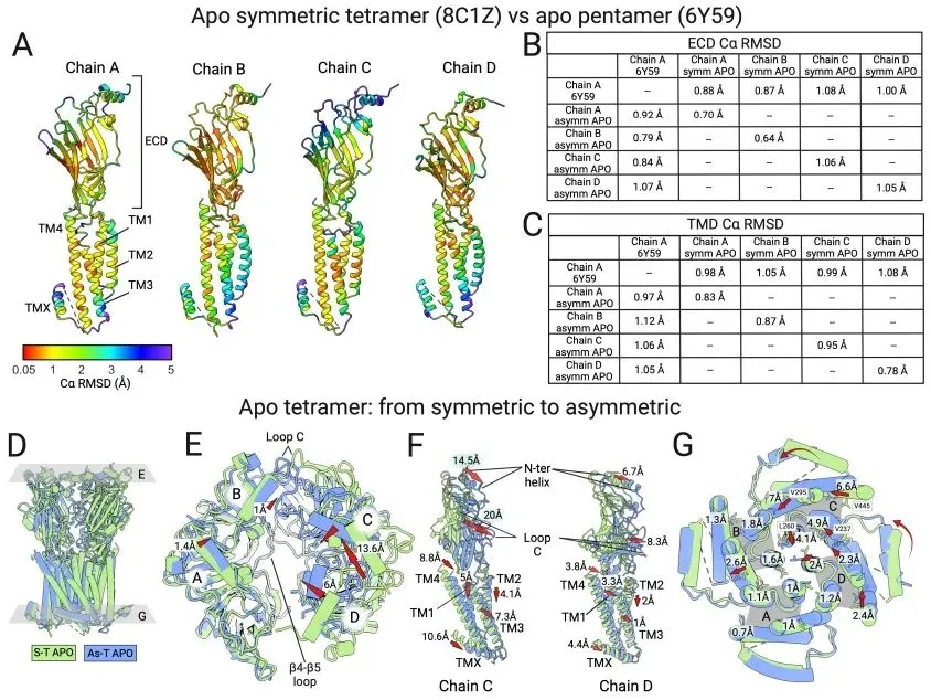 beat365在线体育app