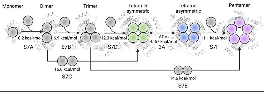 beat365在线体育app
