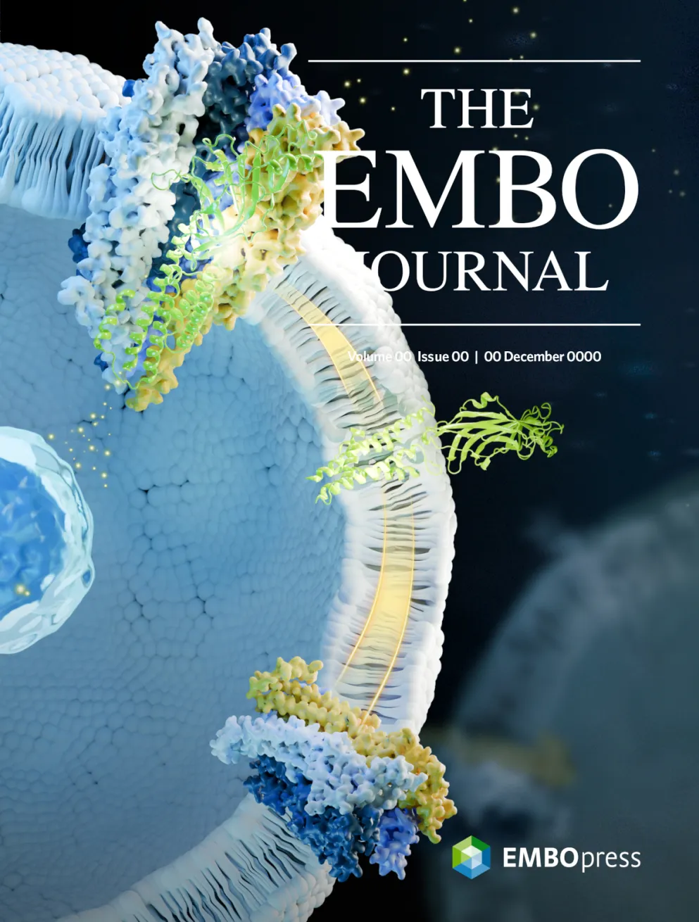 beat365在线体育app