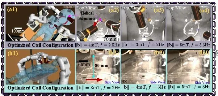 beat365在线体育app