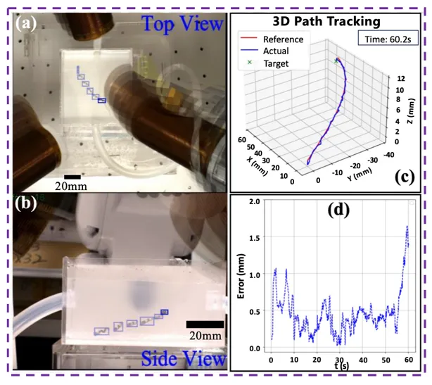 beat365在线体育app