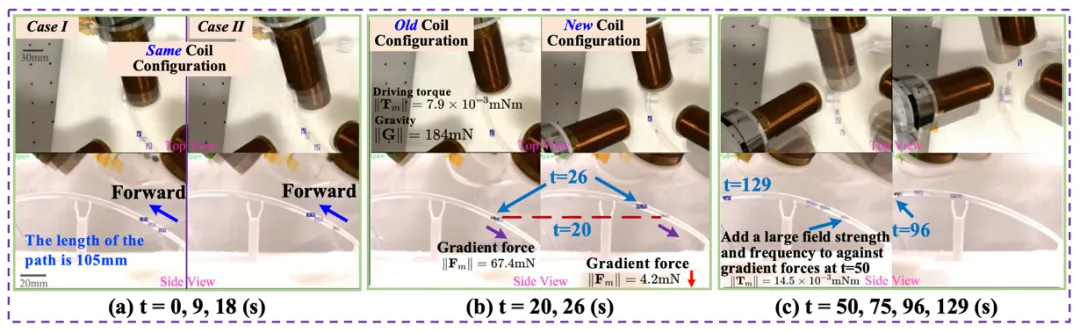 beat365在线体育app