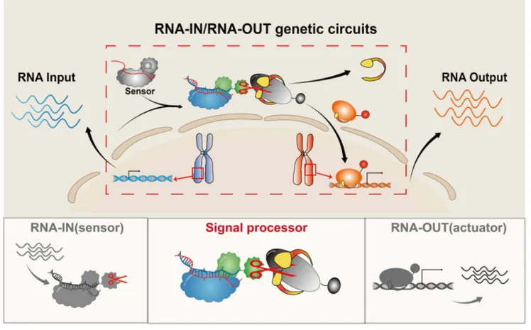 beat365在线体育app