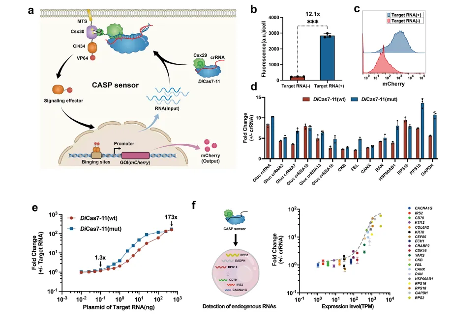 beat365在线体育app