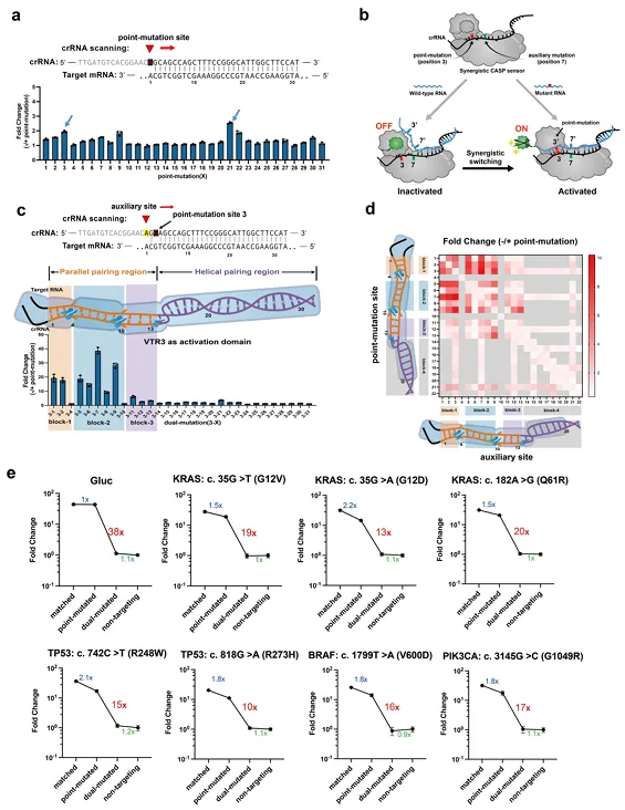 beat365在线体育app