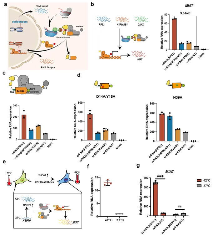 beat365在线体育app