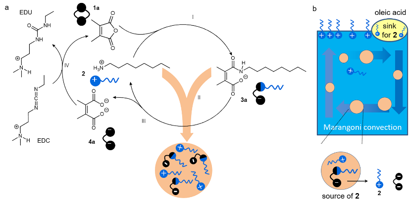 beat365在线体育app
