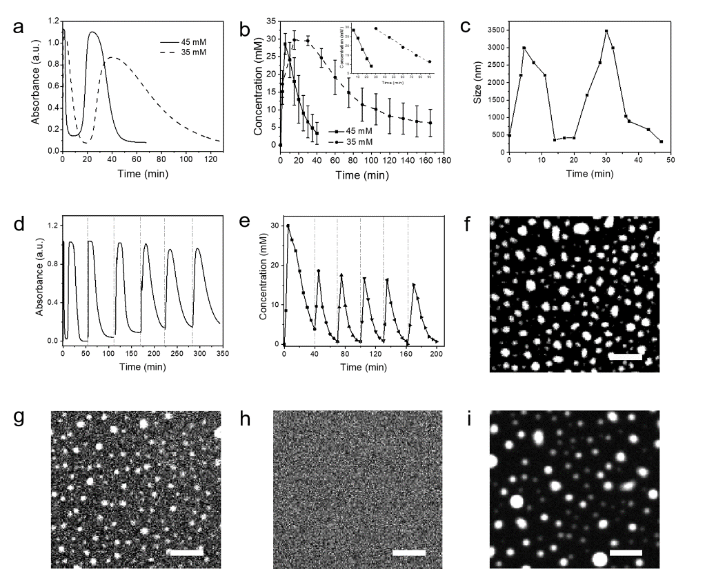 beat365在线体育app