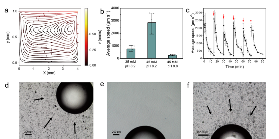 beat365在线体育app