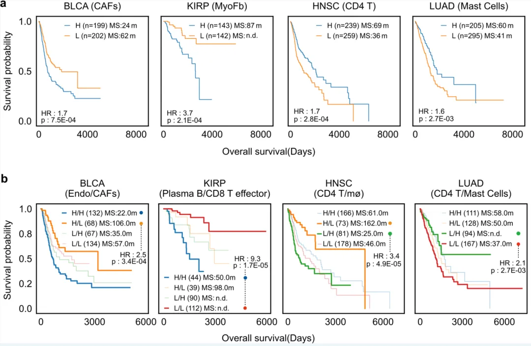 beat365在线体育app