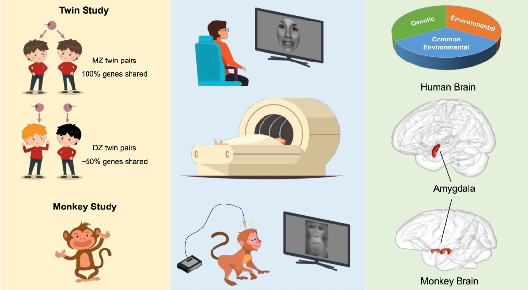 beat365在线体育app