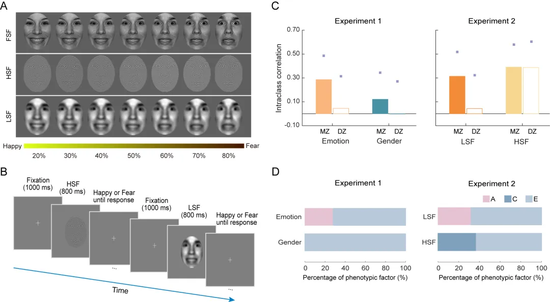 beat365在线体育app