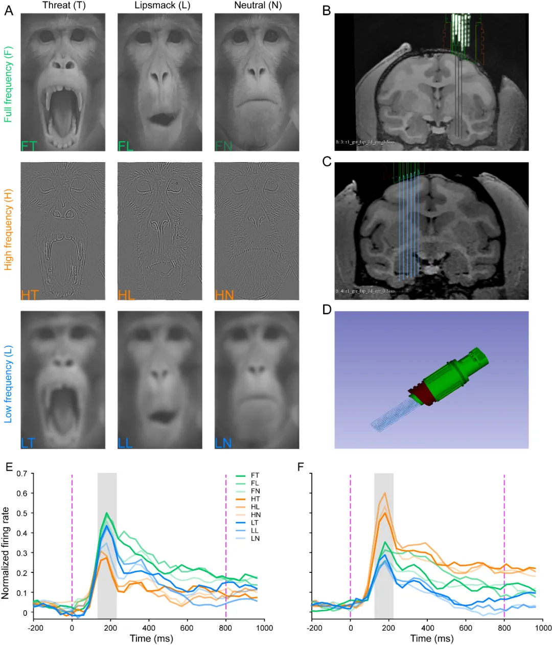 beat365在线体育app