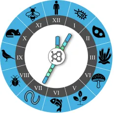 beat365在线体育app