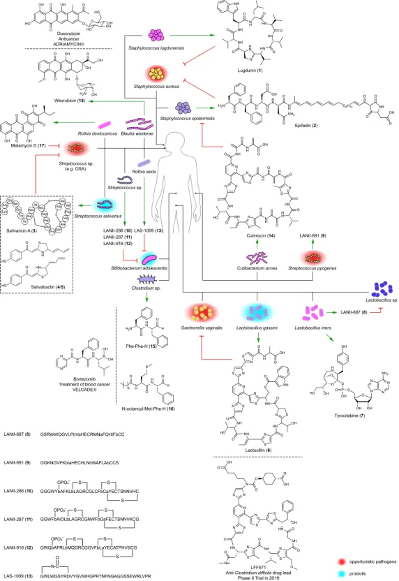 beat365在线体育app
