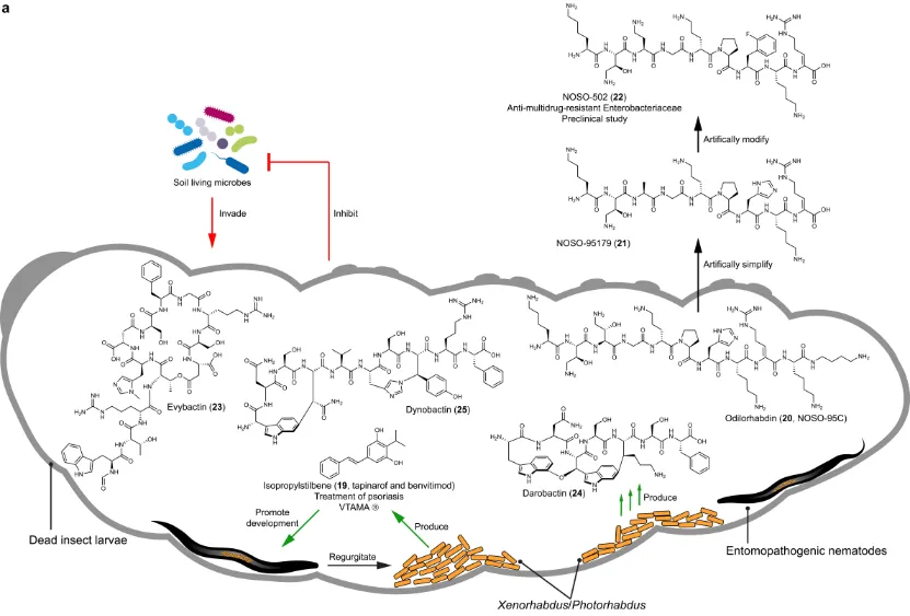 beat365在线体育app
