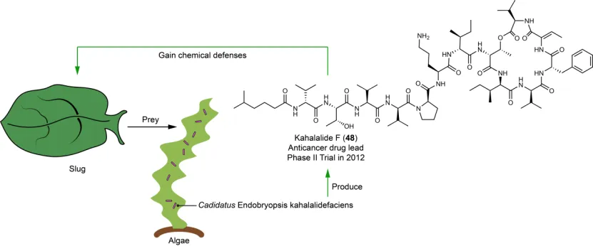 beat365在线体育app