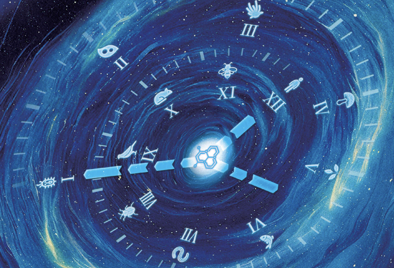 beat365在线体育app