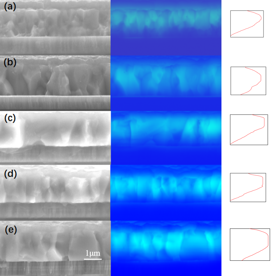 beat365在线体育app