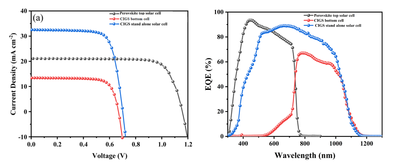beat365在线体育app