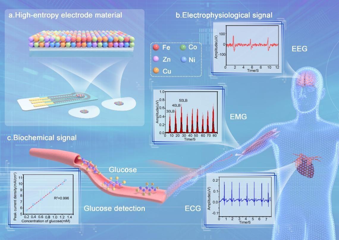 beat365在线体育app