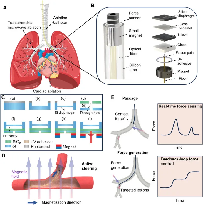 beat365在线体育app