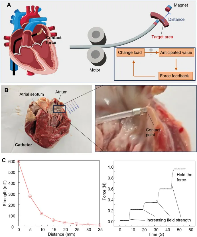 beat365在线体育app