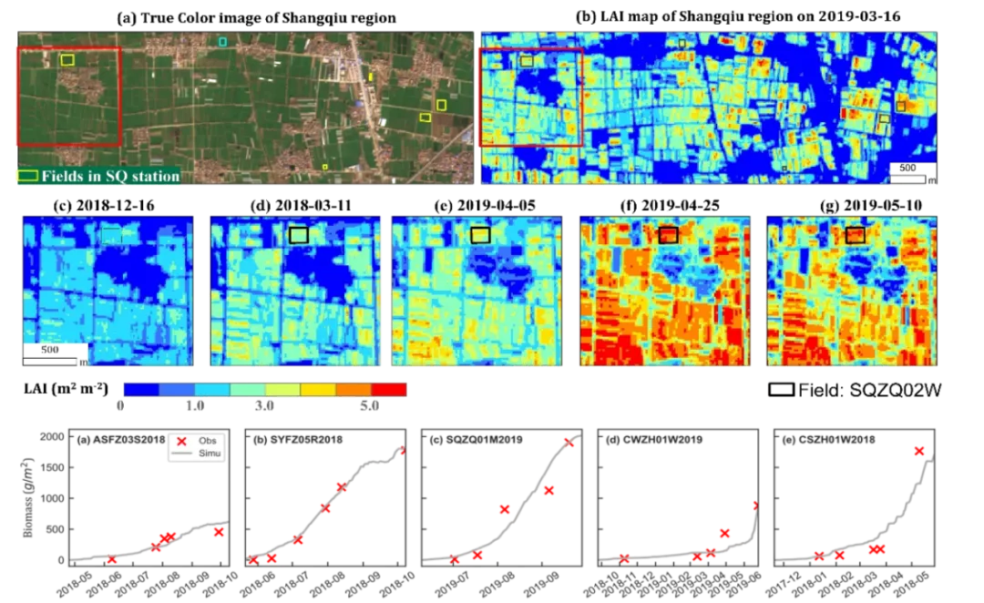 beat365在线体育app