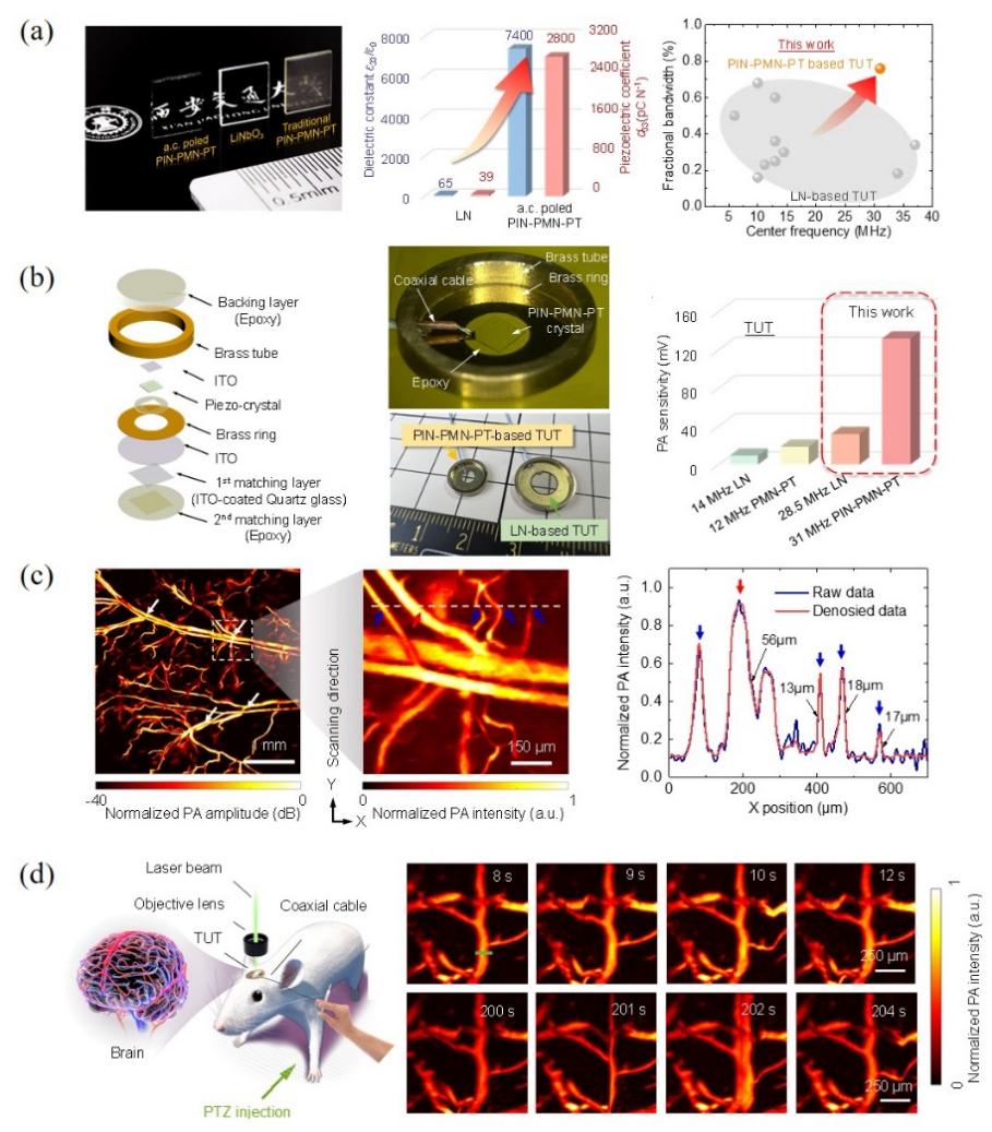 beat365在线体育app