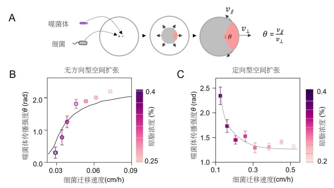 beat365在线体育app