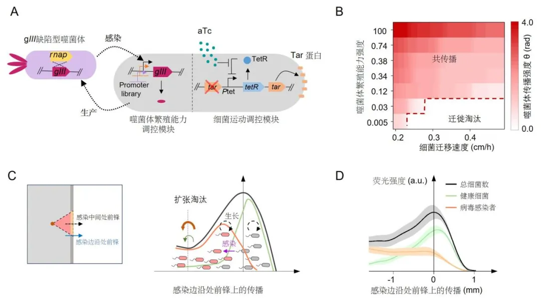 beat365在线体育app