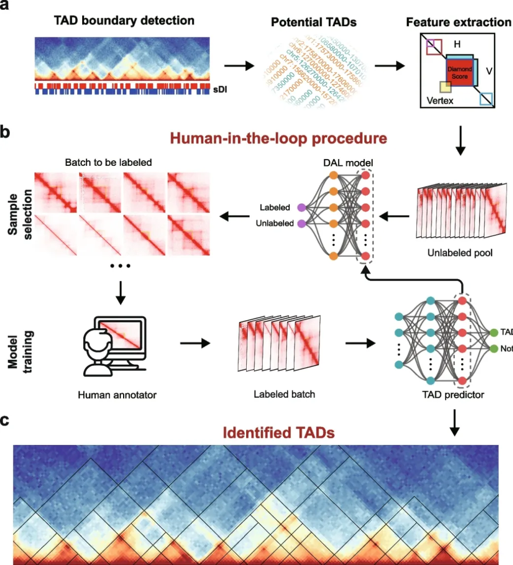 beat365在线体育app